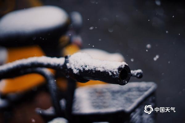 山东烟台今迎降雪 雪花飞舞披银装