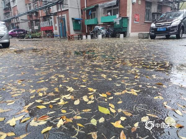 天津降下立冬以来首场雨 部分道路积水明显