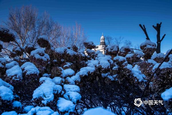 哈尔滨迎立冬后首场降雪 树枝挂满银条晶莹剔透