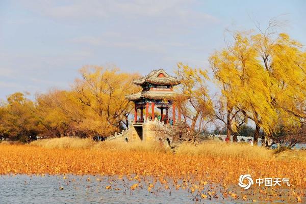 北京入冬秋景犹在 颐和园美如画卷