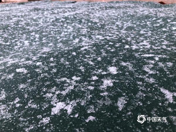 北京下雪啦！一组图直击北京多地降雪现场