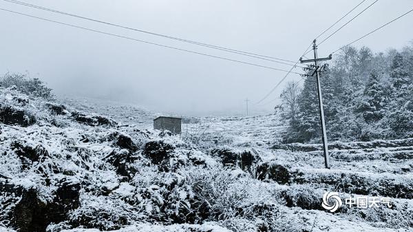 下雪啦！贵州多地今冬初雪悄然而至 天地浑然一体