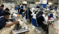 Eurovet集团联合印尼内衣行业加入德国developPPP.de发展项目
