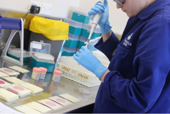 “最严”抽检产出最好成绩，金领冠品质领跑中国奶粉