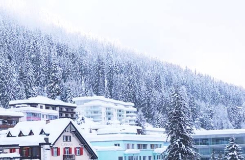 章泽天刘强东甜蜜合影 狗粮在喉心作痛