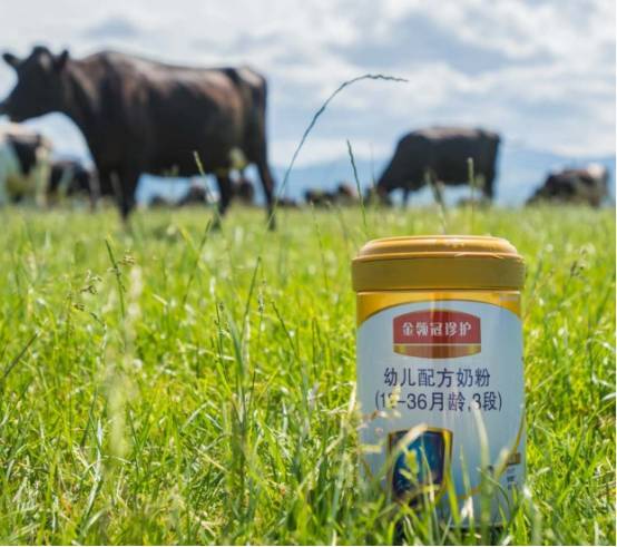金领冠高速增长，助力伊利奶粉蝉联中国奶粉第一
