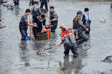 金诚集团2018的年会上，居然存了段位如此高的“段子手”