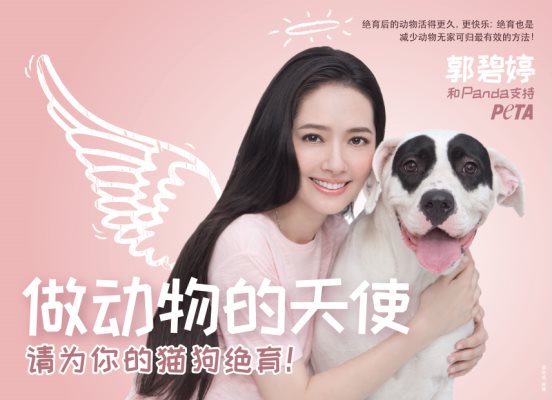郭碧婷化身动物天使 携爱犬预祝土狗年快乐