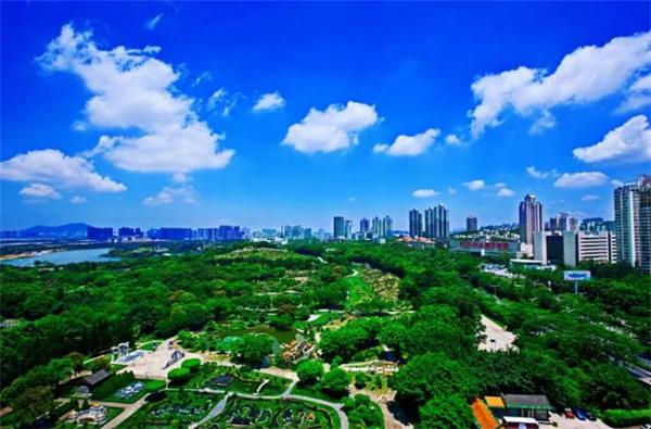 史上最盛大灯会！华侨城十二城点亮中国年