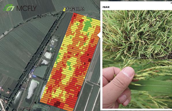 卫星遥感赋能县域振兴、数融农事系统破局产业转型(图1)