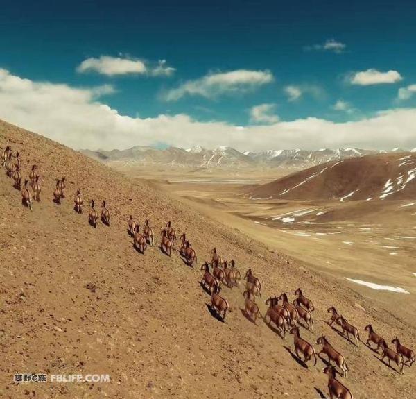 探索无止境 2017越野e族论坛十大极限穿越回顾