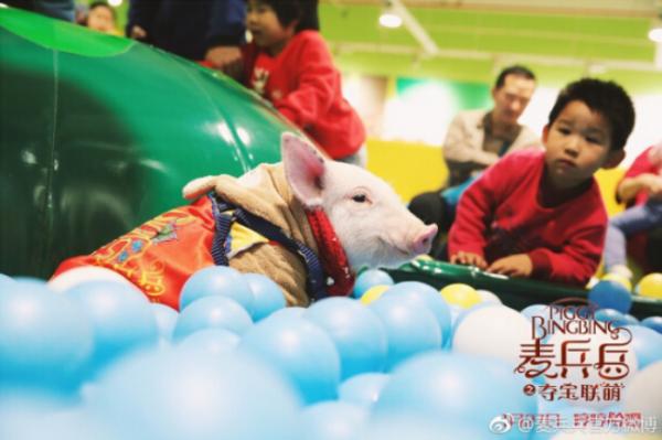 看欢乐电影夺同款玩偶&nbsp;《麦兵兵》跨界合作出新招