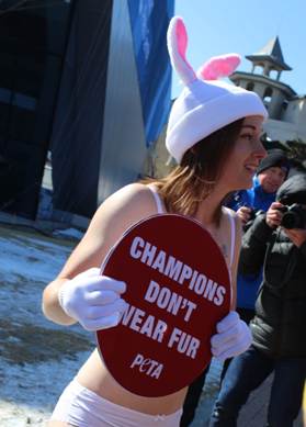 性感“兔女郎”现身韩国平昌冬奥会