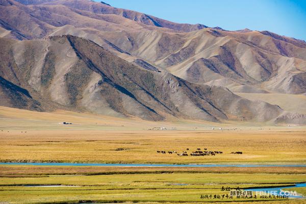 探索无止境 2017越野e族论坛十大极限穿越回顾
