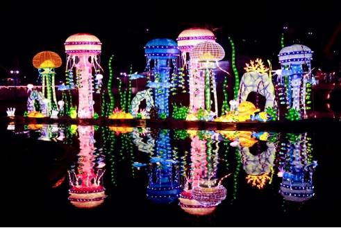 “华侨城·自贡灯会”盛大启幕 十二城彩灯点亮中国年