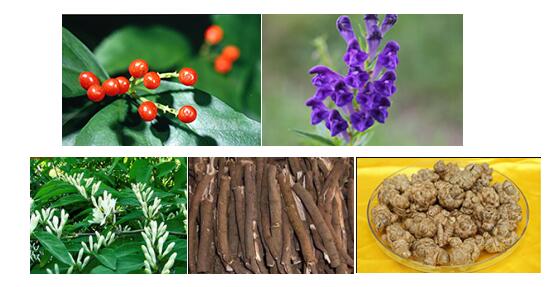 谢娜终于生了！却不见“碧斯诺兰”代言人……