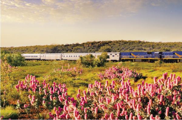 天巡skyscanner: 新年火车驶向浪漫旅程，你想体验的精彩都在路上