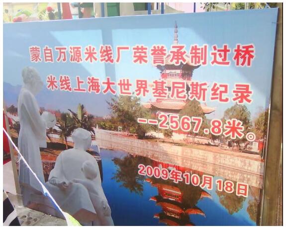 “蒙自过桥米线”创造吉尼斯世界纪录：“马源干米线”