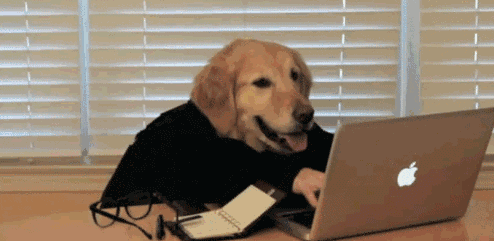 金诚集团2018的年会上，居然存了段位如此高的“段子手”