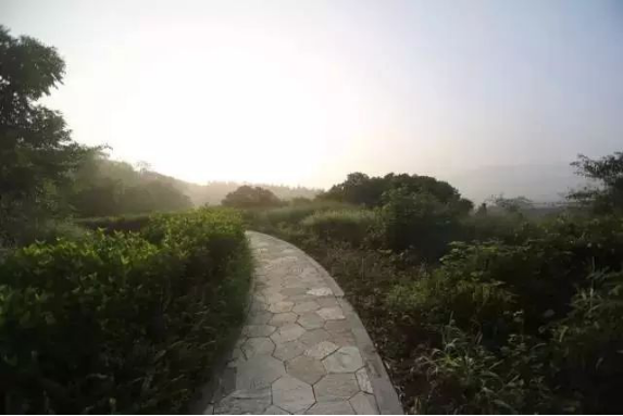 广州侨鑫从都国际庄园，豪宅别墅让你体验自然风物之美