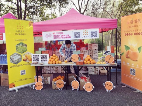 山橙时代牵手第二届上海樱花节女子马拉松 可以喝的橙子俘获人心