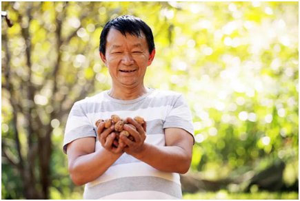 践行乡村振兴战略，服务实体经济要找准“着力点”！