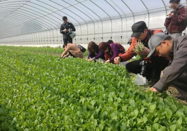 金诚新城镇集团组织客户走进金坛项目地考察