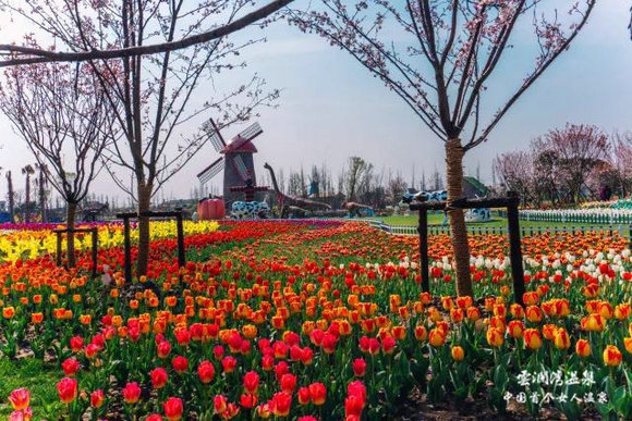 千人瑜伽大会拉开云澜湾美人节序幕，广场舞潮妈现场“搅局”