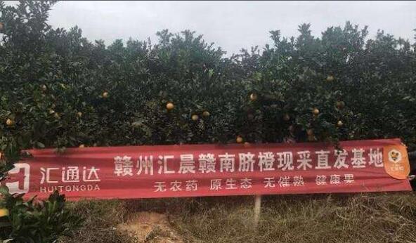 撸起袖子加油干！汇通达正深度践行“乡村振兴提案”