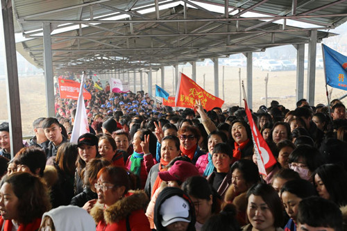 15万人过后，宝泉依旧是一片醉人的郁金香花海