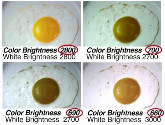 还原最真实的投影需求,色彩亮度究竟做了什么