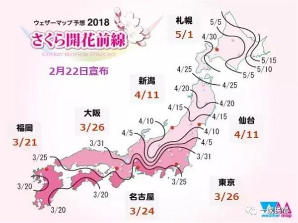一家民宿盘点:日本“樱花季”十大赏樱名所