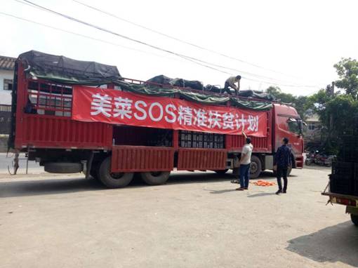 一个小番茄引发的美菜SOS精准扶贫大计划