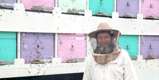 吉尔吉斯斯坦蜂蜜文化的全球传播者-吉达尔集团