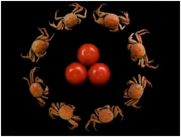 315食品行业的谣言，你知道多少？