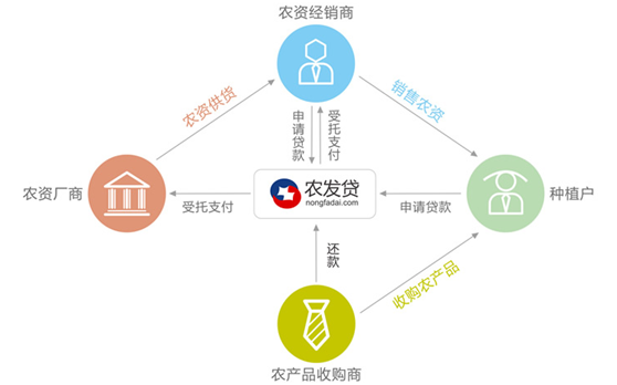 践行乡村振兴战略，服务实体经济要找准“着力点”！