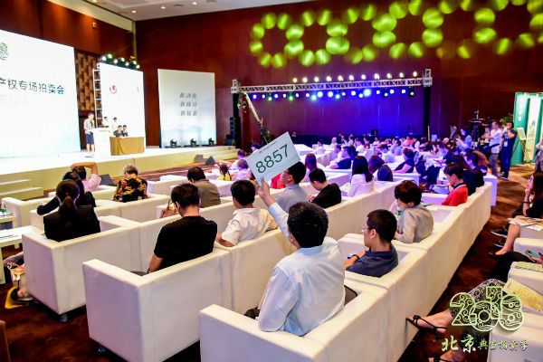 京交会“精准扶贫及知识产权专场拍卖会”成交总额超3.5亿元