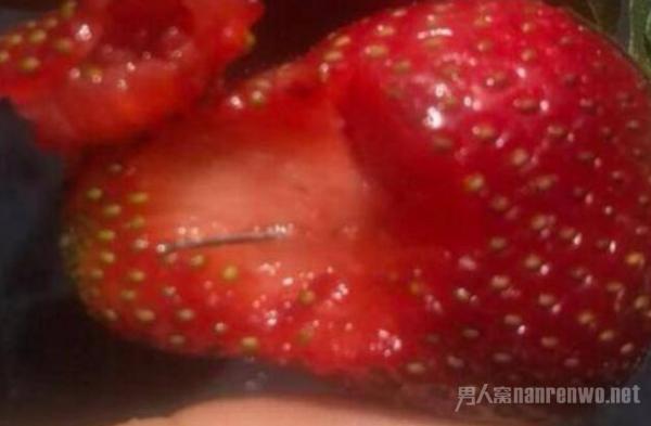 澳大利亚草莓藏针怎么回事?影响了整个澳洲谁干的?