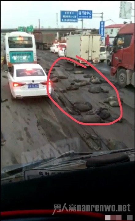 南昌大学化粪池 爆笑！生化武器？简直让同学生不如屎!