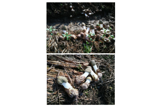 从生产基地到产品，带你全方位了解安兴食品