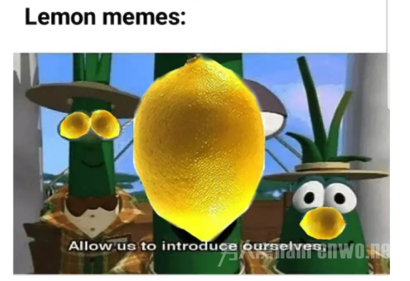2019第一梗：柠檬精，你知道什么意思吗？