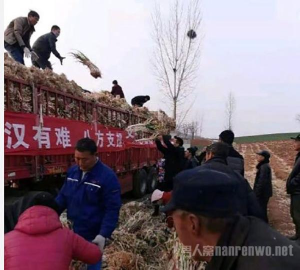 汶川村民自发支援武汉100吨蔬菜 网友：汶川人民太给力