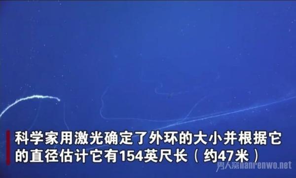 澳大利亚深海拍到47米长管状水母 澳大利亚深海拍到47米长管状水母 网友：不会打结吗？