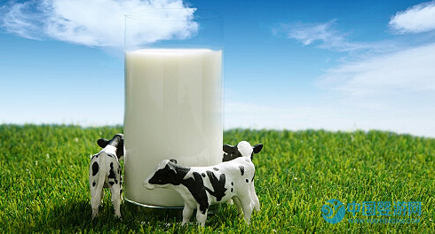 牛初乳那么贵，为什么还有那么多的家长选择使用