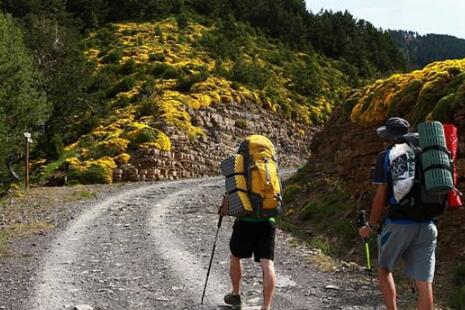 每天徒步多少步对膝关节损伤最小？