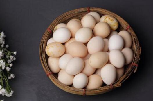 初生蛋营养价值更高吗 对鸡蛋有哪些认识误区