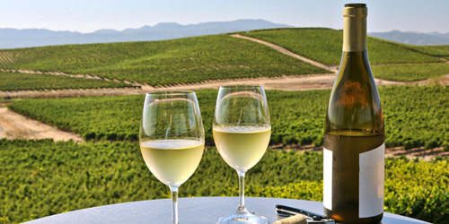 这些葡萄酒是配餐的安全选择