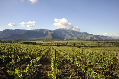 那些酒界风云人物联手打造的名庄