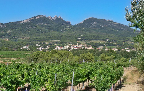 罗讷河谷不容忽视的小众产区