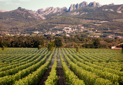 罗讷河谷不容忽视的小众产区